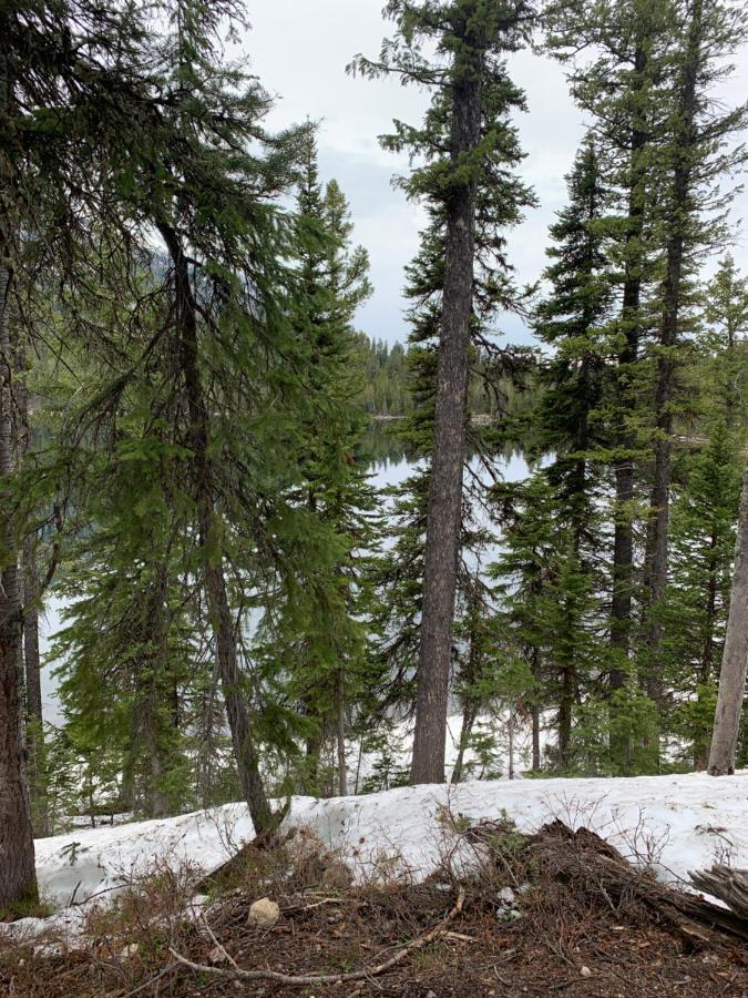 Hideaway Mountain Lodge Фрейзер Экстерьер фото